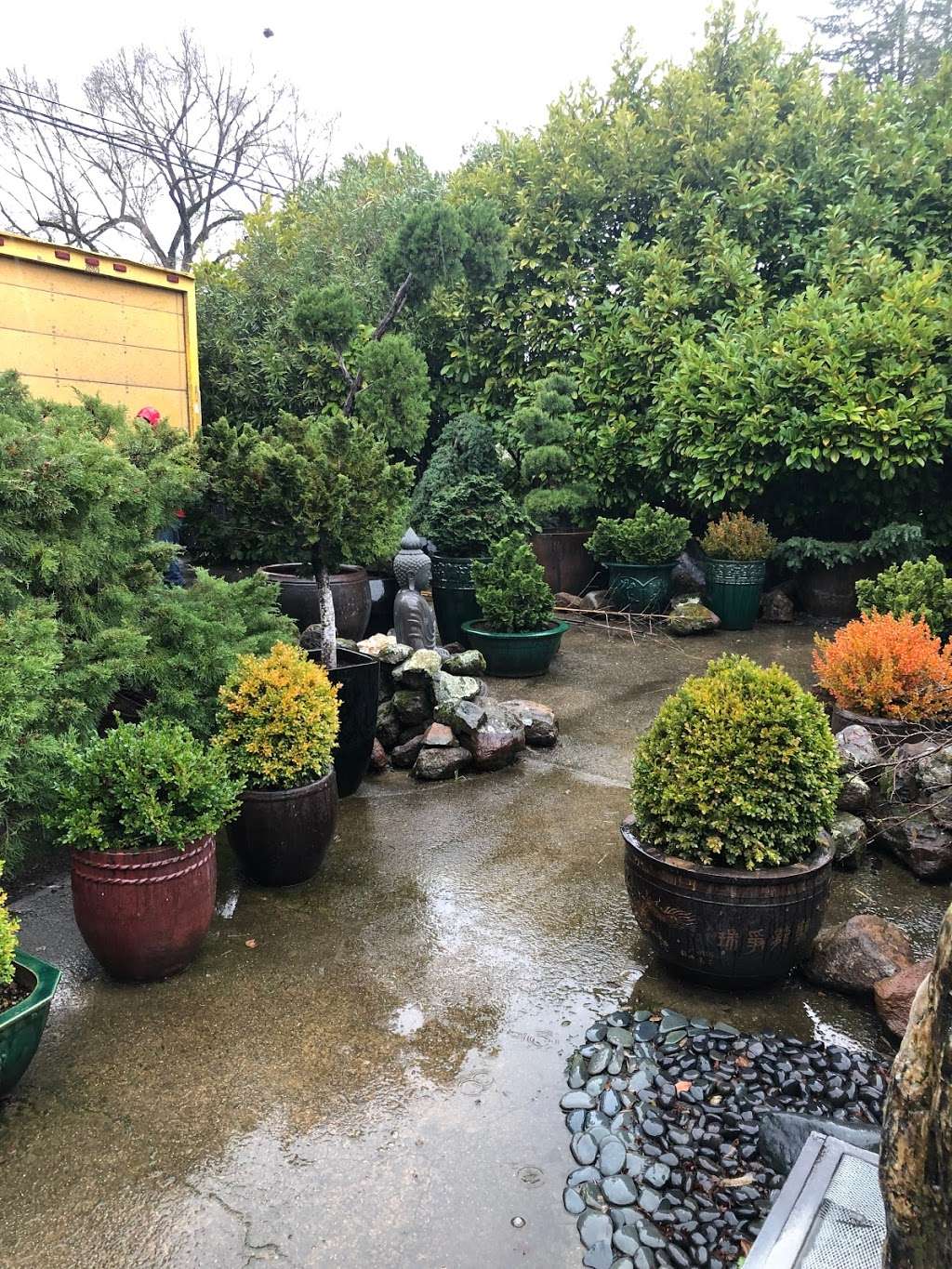 Absolute Statuary & Fountains / Absolute Home And Garden | 2227 Gravenstein Hwy S, Sebastopol, CA 95472 | Phone: (707) 823-5039