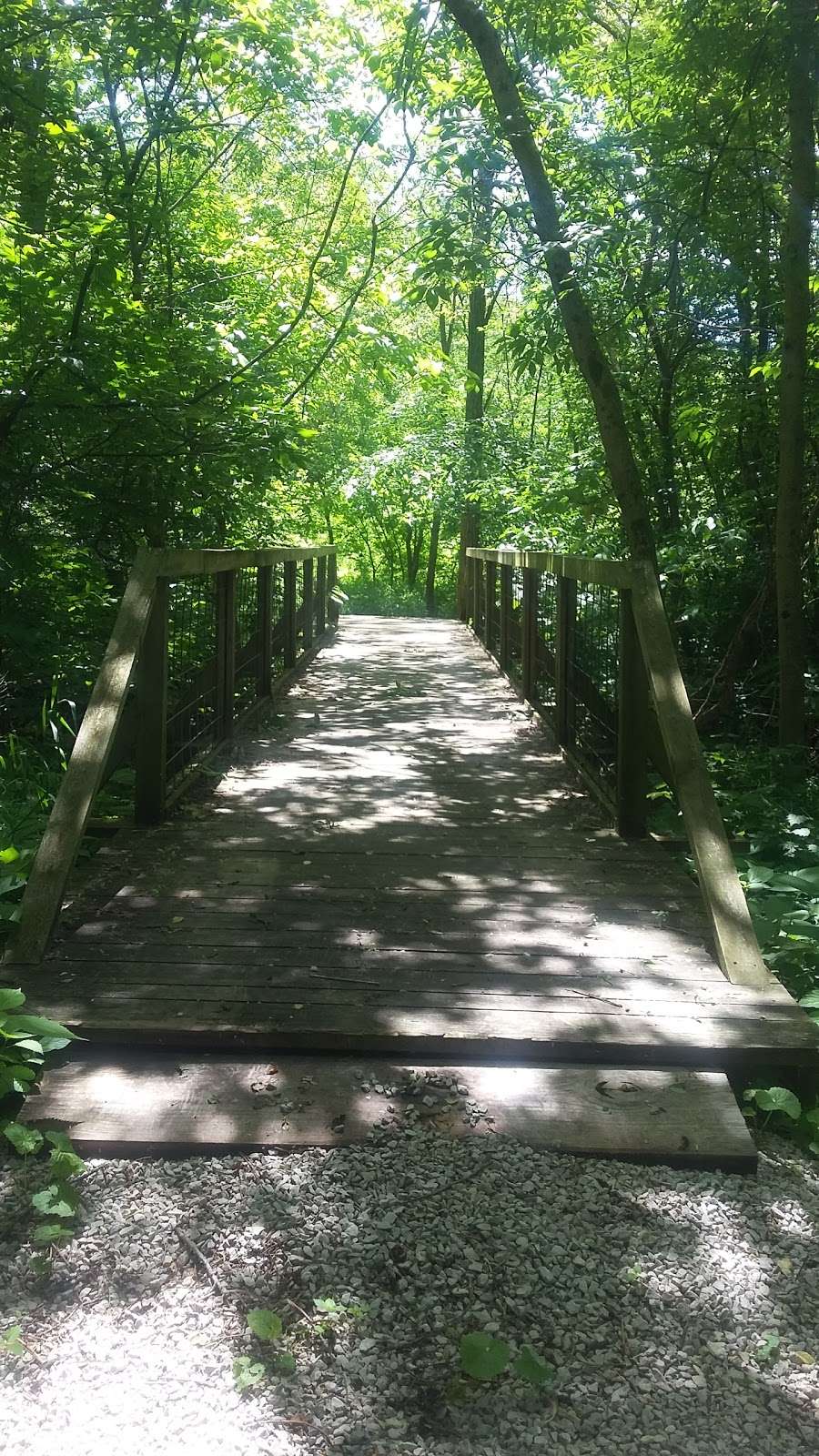 Twin Bridges Loop Trail | East CR-200 South, Danville, IN 46122, USA