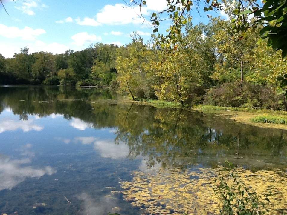 Rangeline Nature Preserve | 1200 S Rangeline Rd, Anderson, IN 46012, USA