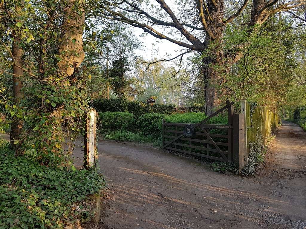 Deneland Boarding Kennels & Cattery | Turnagain Lodge, Hook Green Lane, Dartford, Wilmington DA2 7AJ, UK | Phone: 01322 225191