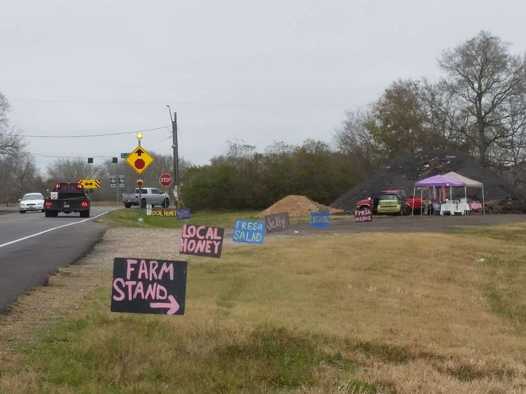 Flashy Light Farm Stand | 17401-17429 Farm to Market Rd 762, Richmond, TX 77469, USA | Phone: (713) 899-2537