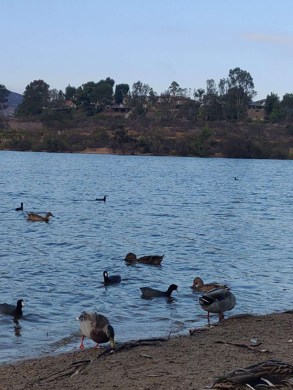 Lake Murray Community Park | 7001 Murray Park Dr, San Diego, CA 92119, USA | Phone: (619) 525-8213