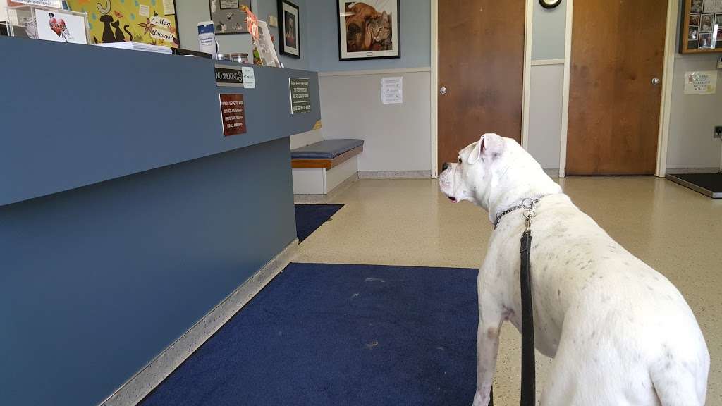 Lehigh Valley Animal Hospital | 6350 Tilghman St, Allentown, PA 18106 | Phone: (610) 395-0328