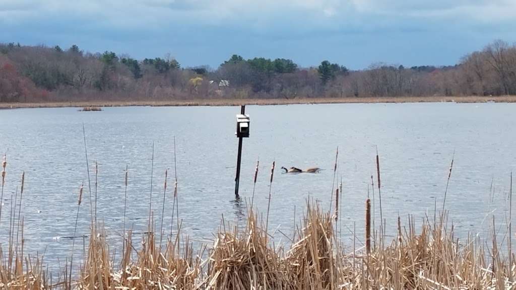 Great Meadows National Wildlife Refuge Concord Unit | Monsen Rd, Concord, MA 01742, USA | Phone: (978) 443-4661