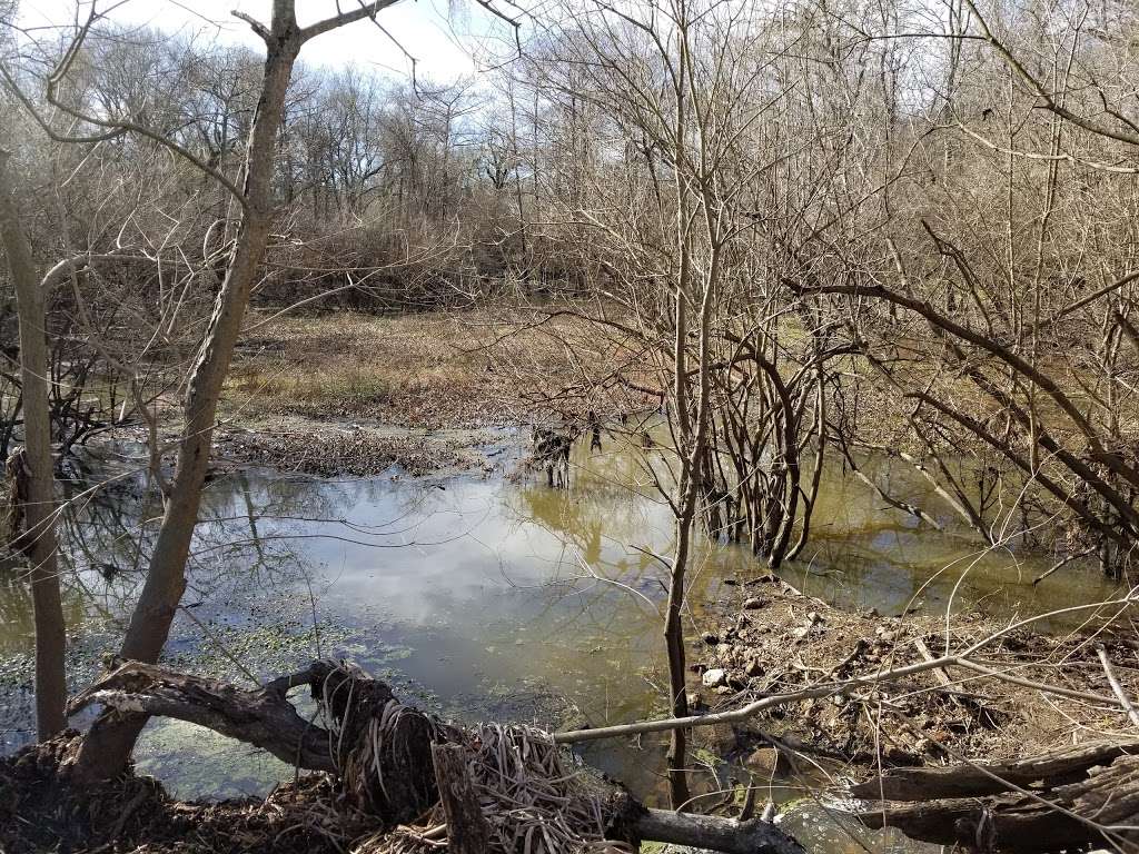 Knobby Knees Trail, Trinity River National Wildlife Refuge | Revinson Dr, Liberty, TX 77575, USA | Phone: (936) 336-9786