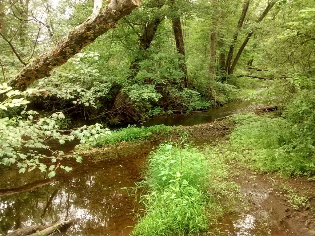 Morsetown Brook Wetland Preserve | 8 Rutgers Ave, West Milford, NJ 07480, USA | Phone: (973) 532-9830