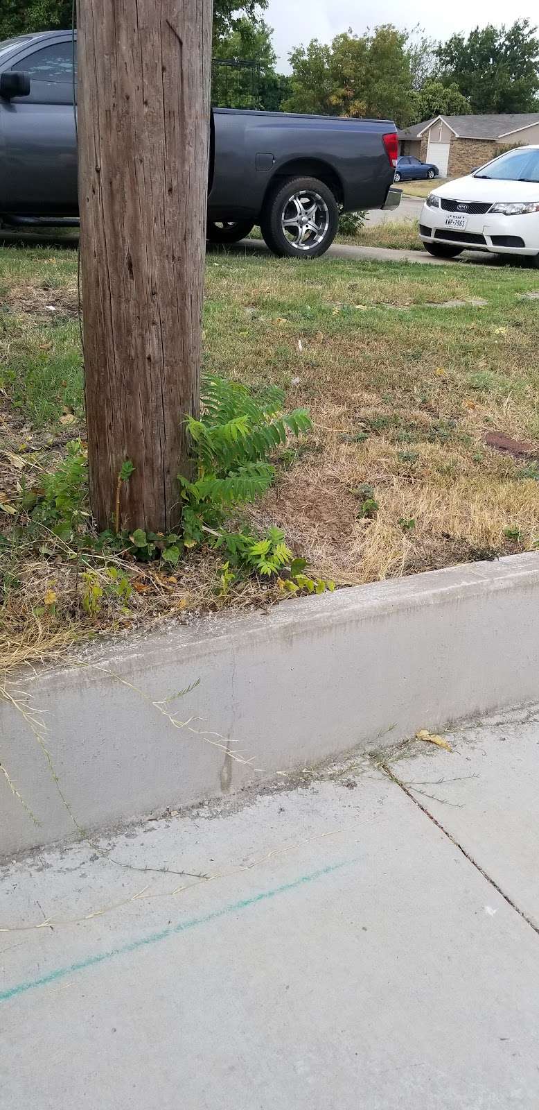 Clark @ Mountain Creek - S - NS | Dallas, TX 75249, USA