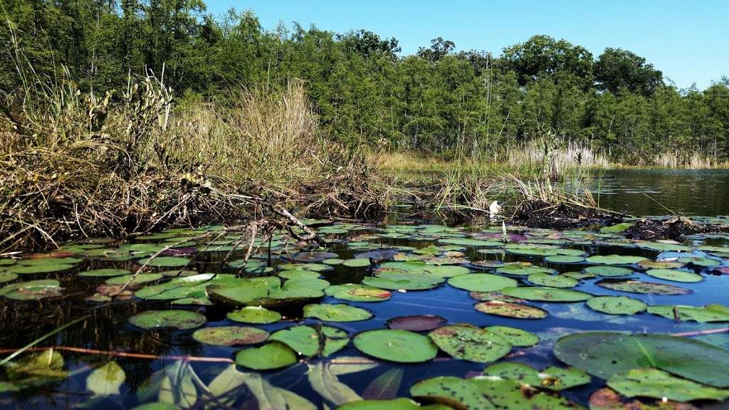 Beulah Bog State Natural Area | Stringers Bridge Rd, East Troy, WI 53120, USA | Phone: (608) 266-0394