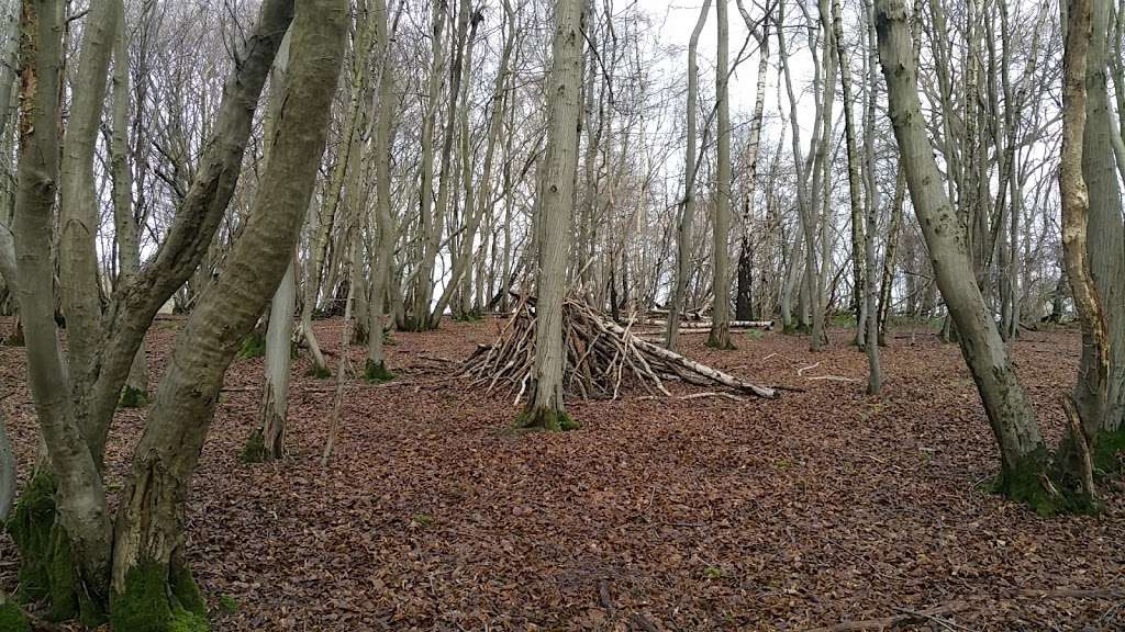 Edolphs Copse | 0EP, Stan Hill, Horley RH6 0EP, UK