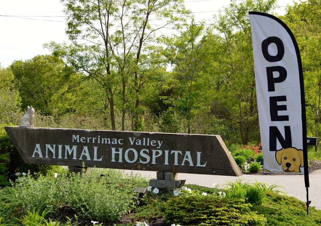 Merrimac Valley Animal Hospital | 26 Haverhill Rd, Amesbury, MA 01913, USA | Phone: (978) 388-3074
