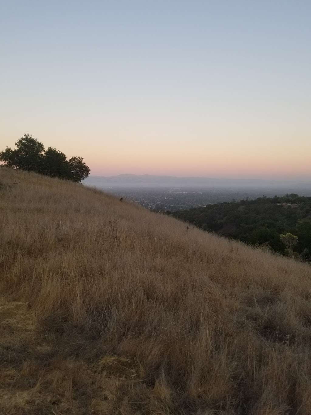 Fremont Older Trailhead | Regnart Trail, Cupertino, CA 95014, USA