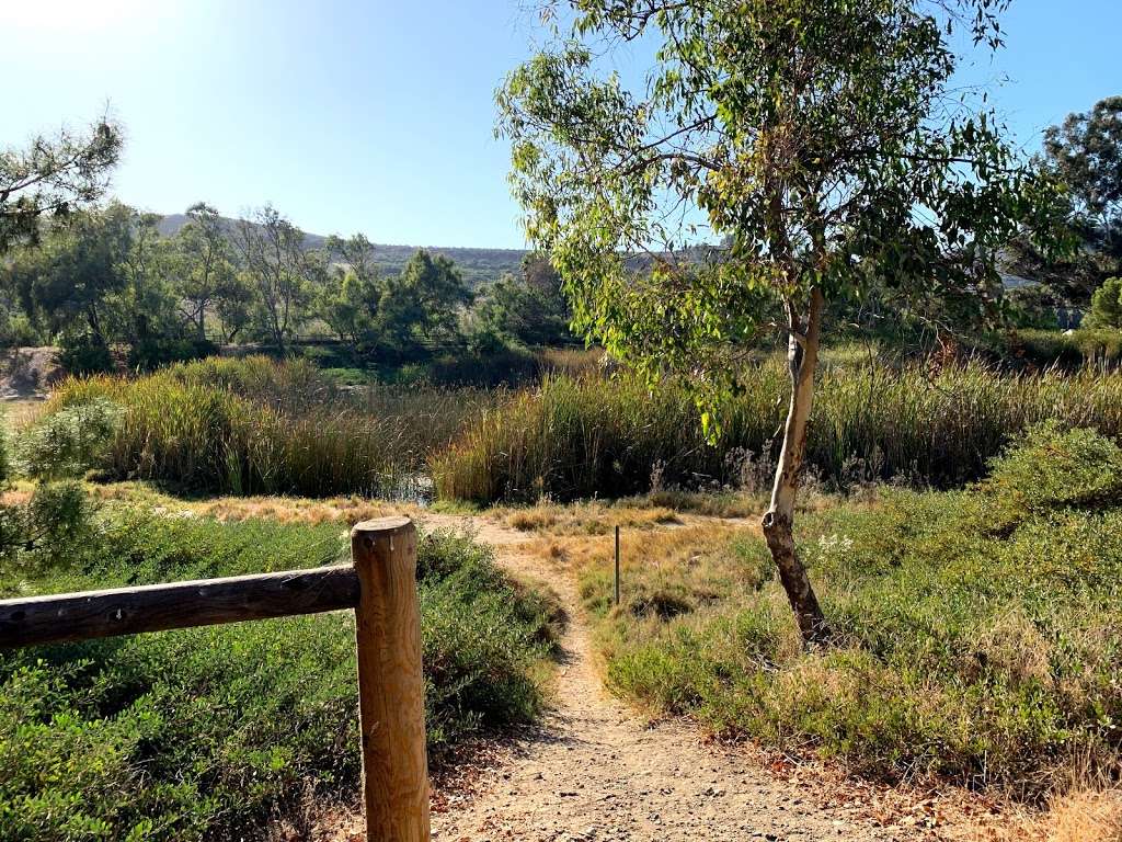 Poway Pond | Sunwood Trail, Poway, CA 92064, USA