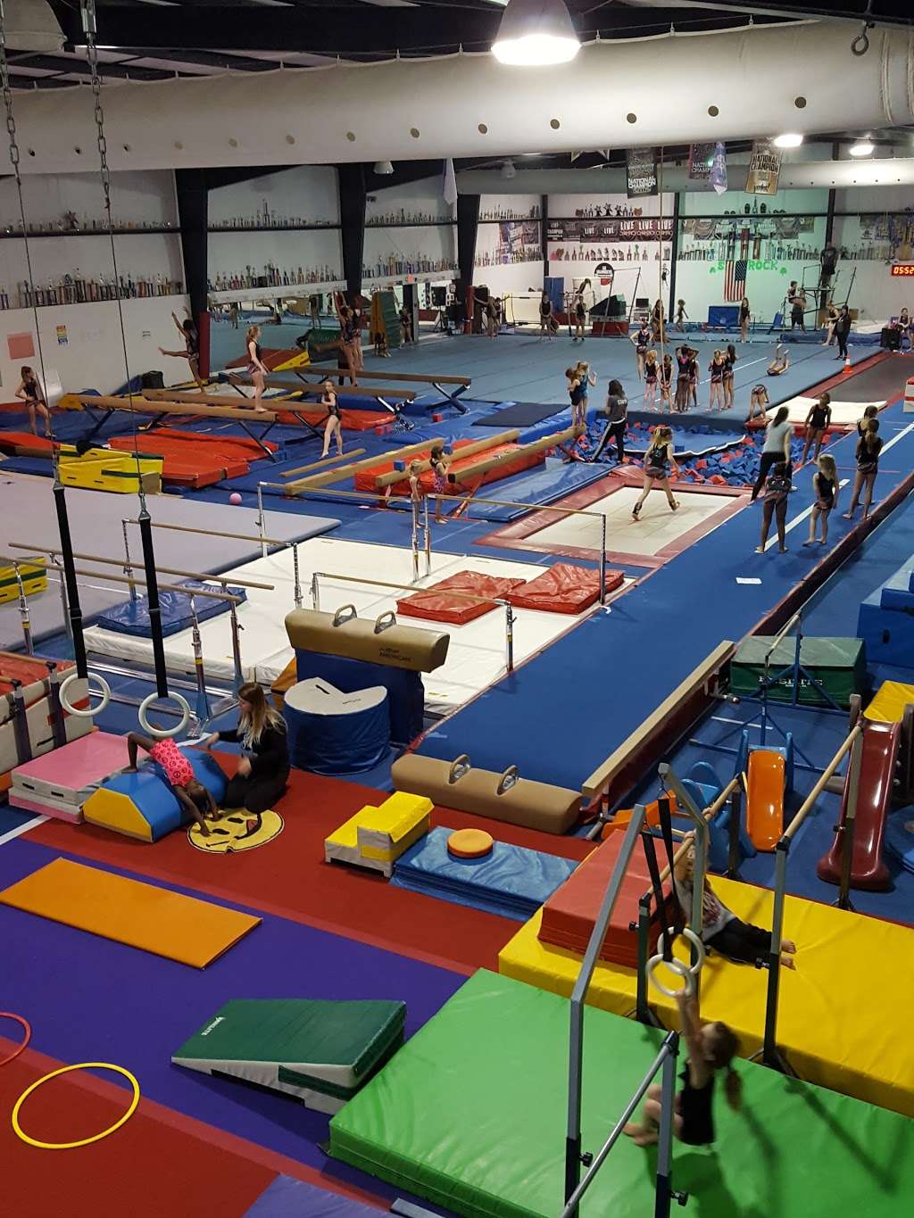 Gymnastics Unlimited Inc | 460 Rawles Ave, Indianapolis, IN 46229, USA | Phone: (317) 897-4648