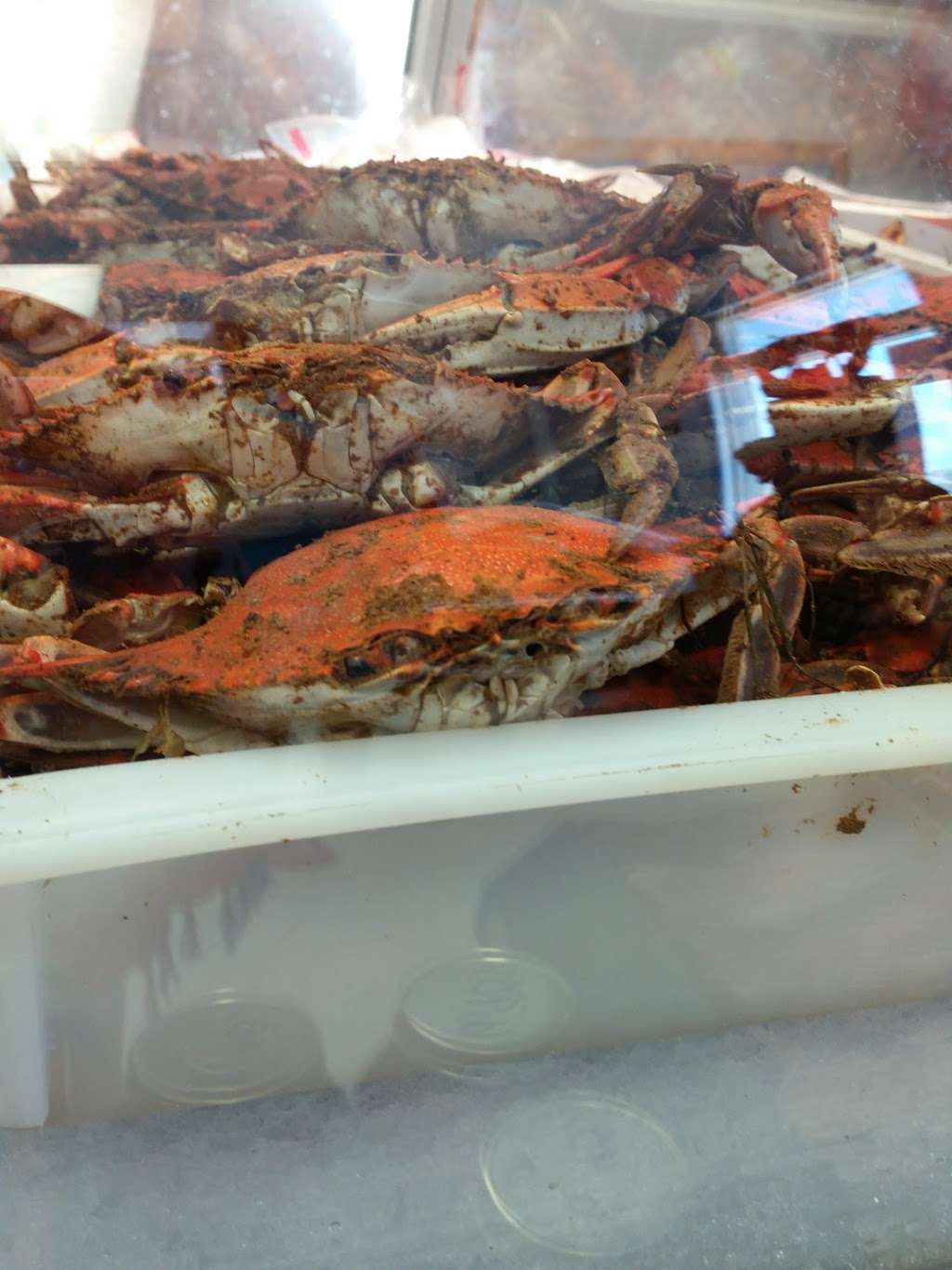 16th Street Seafood | 1555 Haven Ave, Ocean City, NJ 08226 | Phone: (609) 399-0016