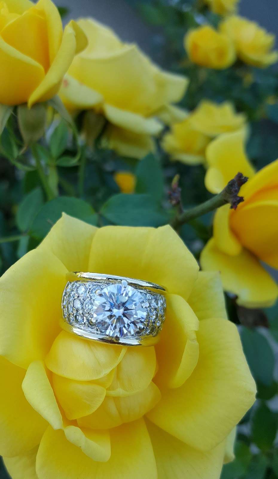 Integrity Jewelers | 11088 Trask Ave suite 100, Garden Grove, CA 92843, USA | Phone: (714) 420-1911