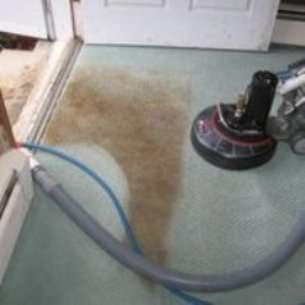 Alexandria Green Carpet & Rug Cleaning | 8494 Richmond Hwy #102, Alexandria, VA 22309, USA | Phone: (703) 672-3909