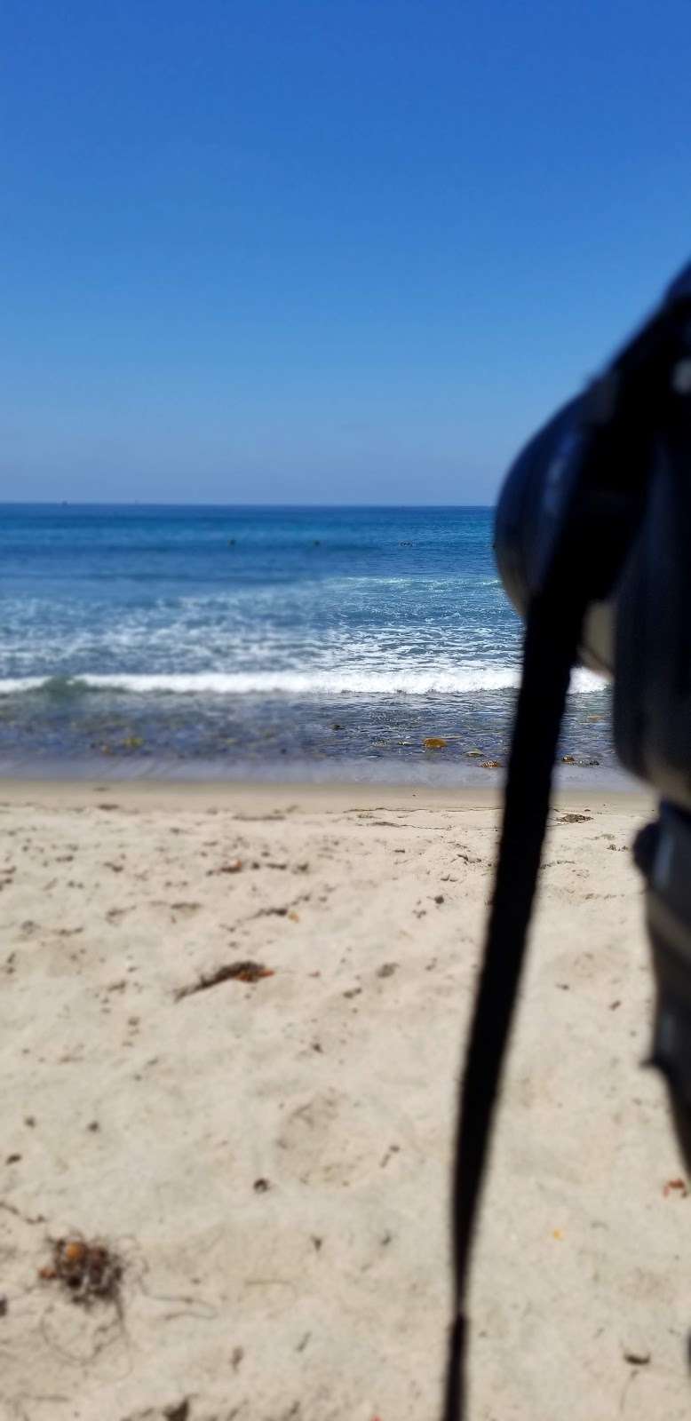 Trestles Surfing Area | California