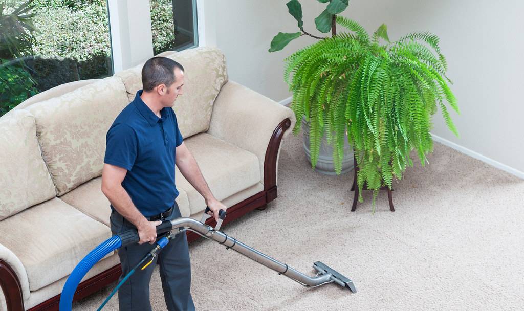 The King Rug Carpet Cleaning Inc | 7422 S Avalon Blvd, Los Angeles, CA 90003, USA | Phone: (424) 256-7361