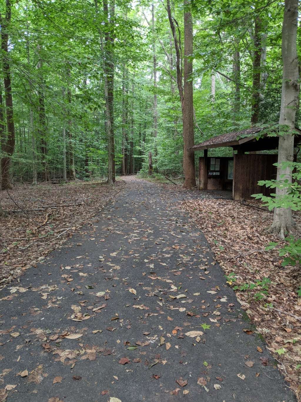 Joseph V. Gartlan Great Marsh Trailhead Parking | Gunston Rd, Lorton, VA 22079, USA