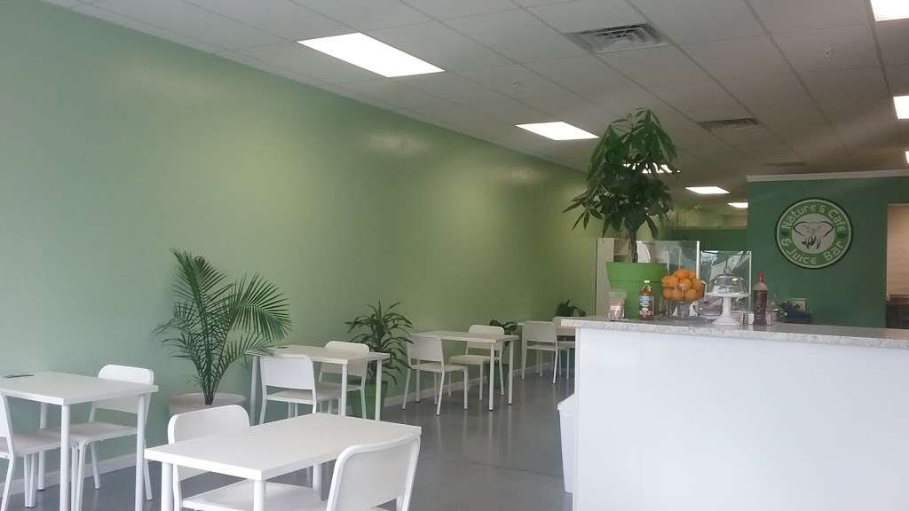 Natures Cafe & Juice Bar | 1672 North Delsea Drive, Suite A6, Vineland, NJ 08360, USA | Phone: (856) 896-6803