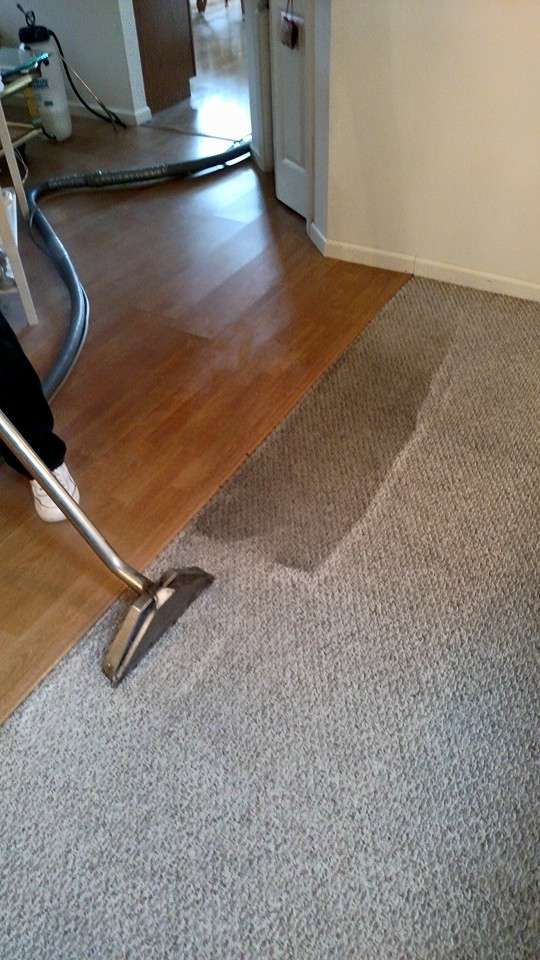 GM Carpet Care | 5 Executive Dr, Toms River, NJ 08755, USA | Phone: (732) 929-9669