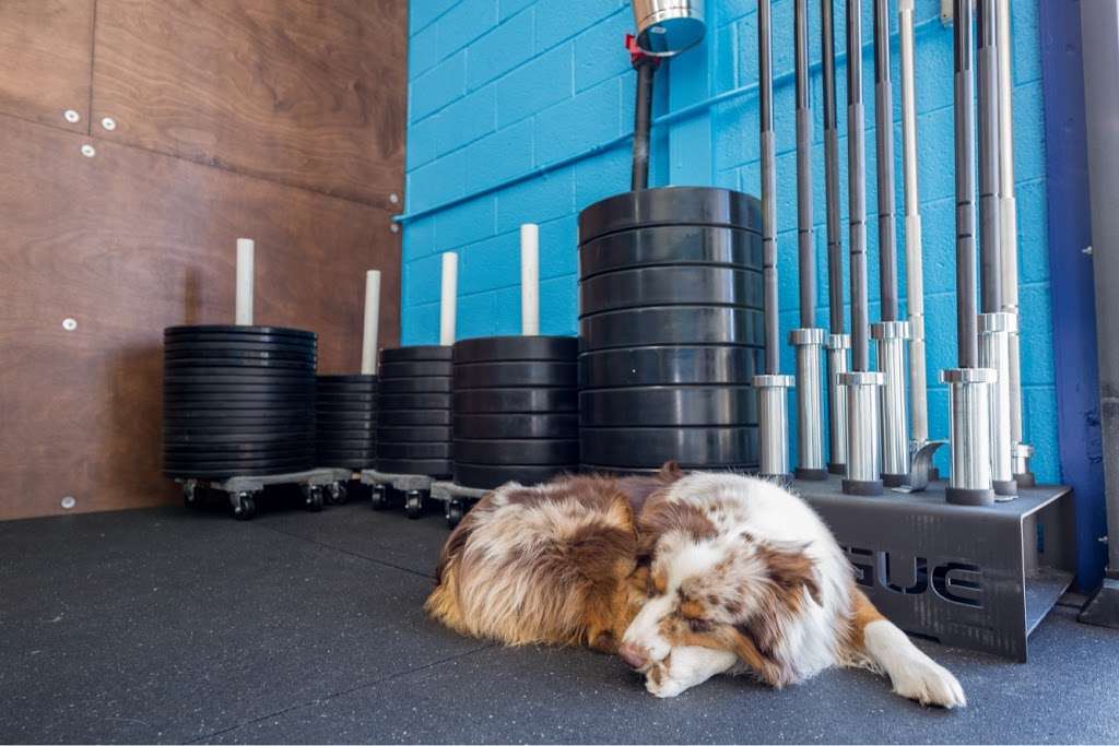 EDX CrossFit | 776 West Baseline Road, Lafayette, CO 80026, USA | Phone: (720) 432-9063