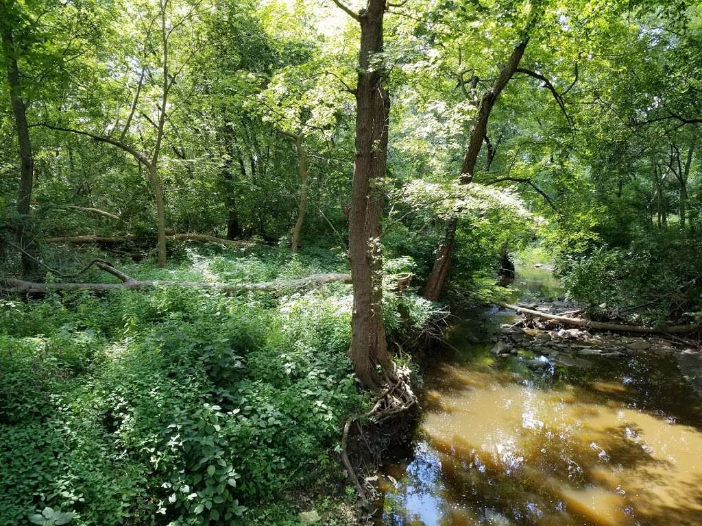 McLaughry Spring Woods | McClaughry Springs Woods (Cook County Forest Preserve), Palos Park, IL 60464, USA