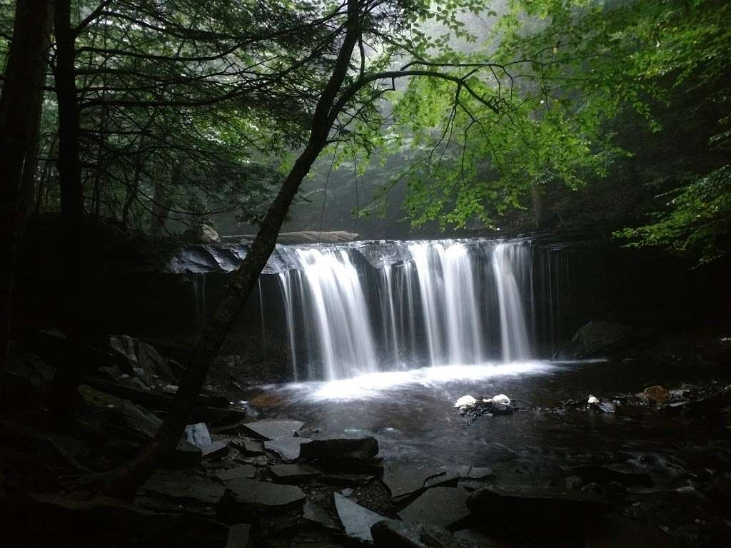 Ricketts Glen State Park | 695 State Route 487, Benton, PA 17814, USA | Phone: (570) 477-5675