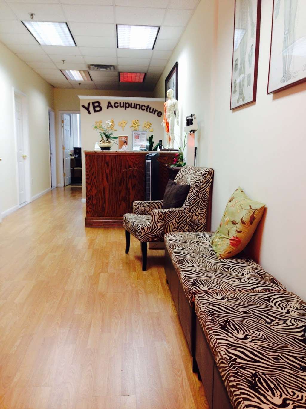 Y B Acupuncture Clinic Inc | 7300 Old York Rd #202, Elkins Park, PA 19027, USA | Phone: (215) 782-3779