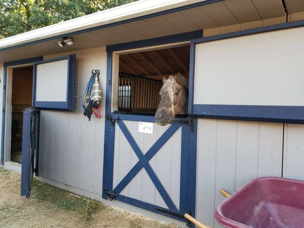 Bethpage Equestrian Center | 499 Winding Rd, Old Bethpage, NY 11804, USA | Phone: (516) 845-1000