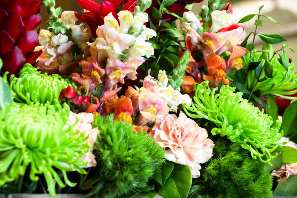 Sketch by Albert - Florist | 6637 Long Point Rd, Houston, TX 77055, USA | Phone: (713) 434-6100