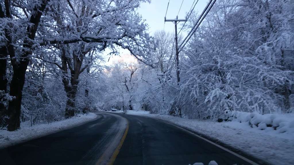 Ferry Hill Thicket | Marshfield, MA 02050