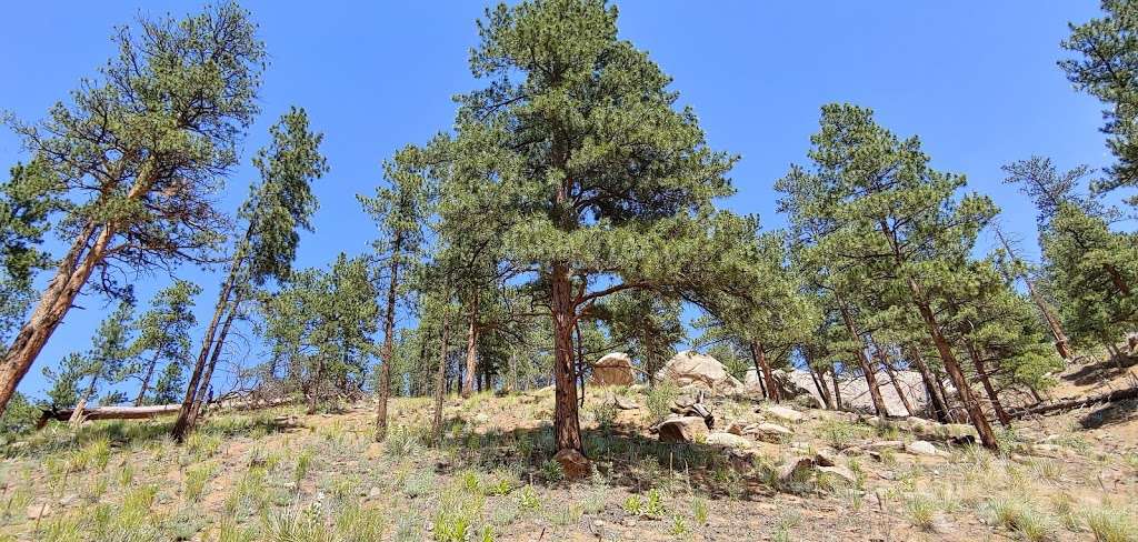 Upper Cheesman Canyon Trailhead | Wigwam Creek Rd, Sedalia, CO 80135, USA