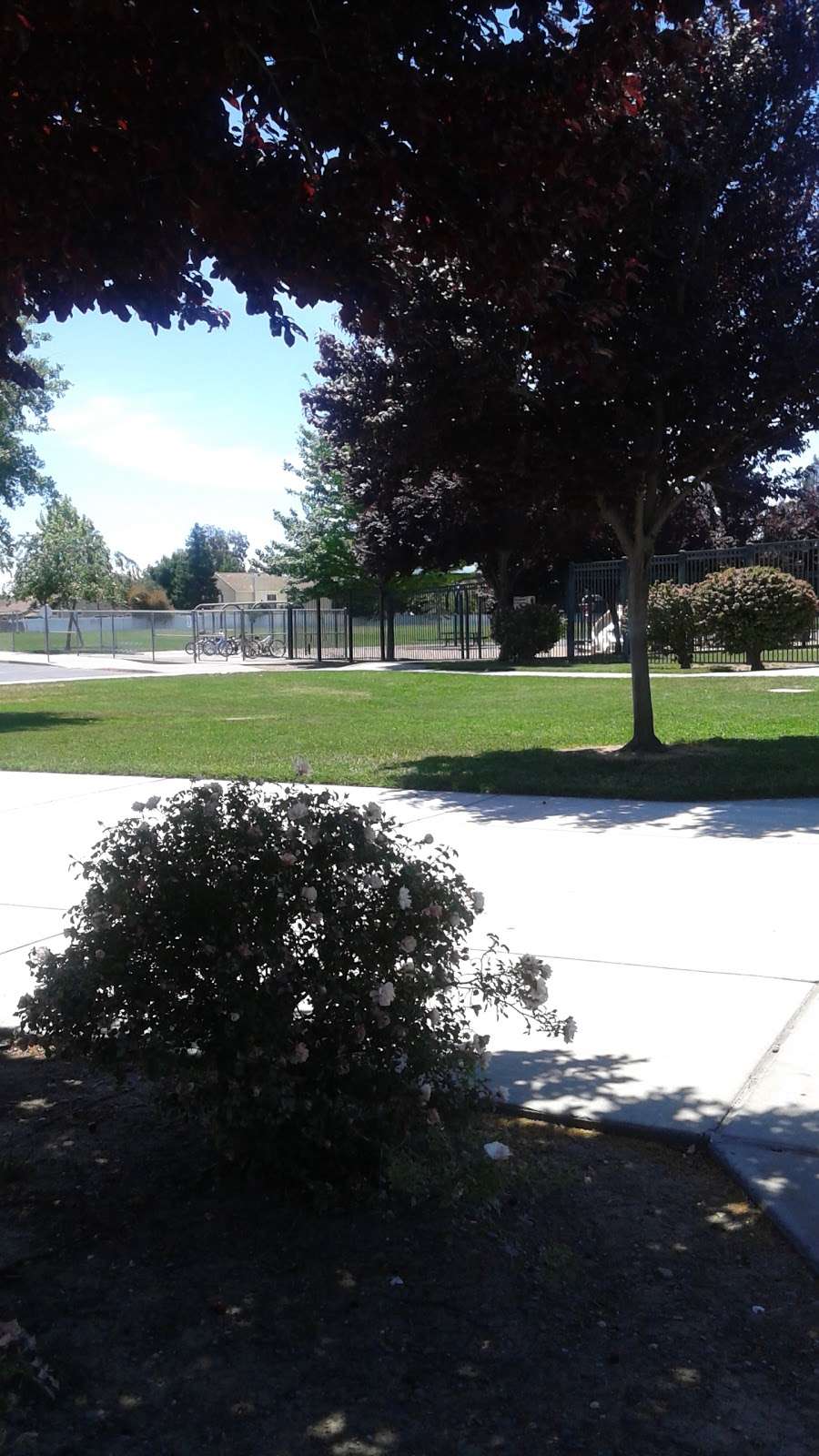 Gretchen Higgins Elementary | 1525 Pembroke Way, Dixon, CA 95620, USA | Phone: (707) 693-6380