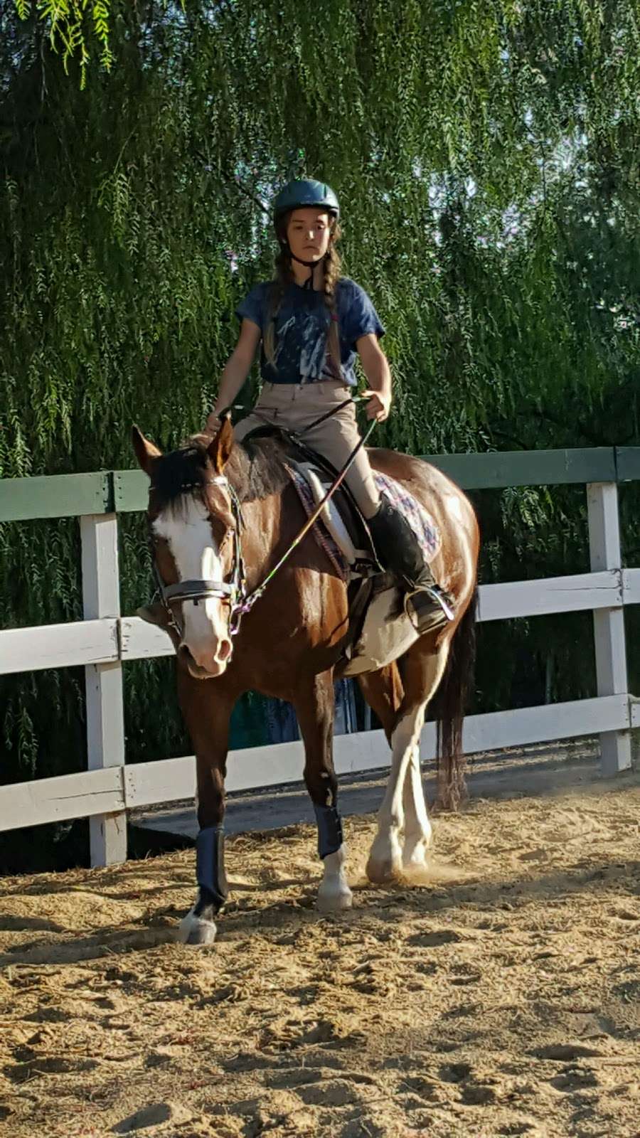 Glory Reins Riding School | 1455 Tierra Rejada Rd, Simi Valley, CA 93065, USA | Phone: (818) 282-3707