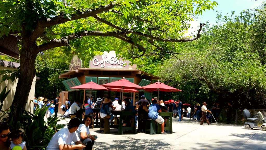 Cafe Pico | Zoo Dr, Los Angeles, CA 90027