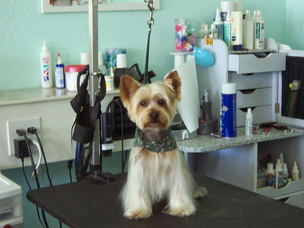 Bavettes Grooming Spa | 603 Francisquito Ave, West Covina, CA 91790, USA | Phone: (626) 917-8214