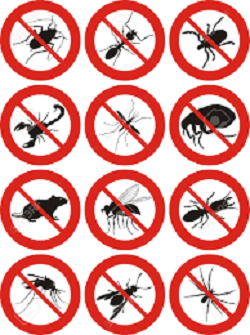 Men in Black Pest Control Services | 6537 Maxwell Dr, Woodridge, IL 60517, USA | Phone: (630) 901-3261