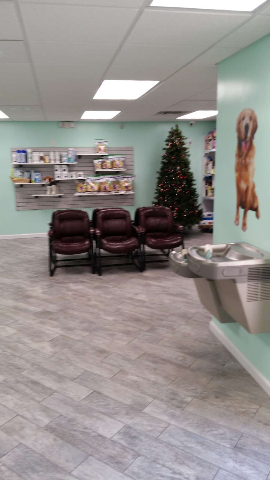 Pet Care Center of Apopka | 2807 Rock Springs Rd, Apopka, FL 32712, USA | Phone: (407) 884-8924
