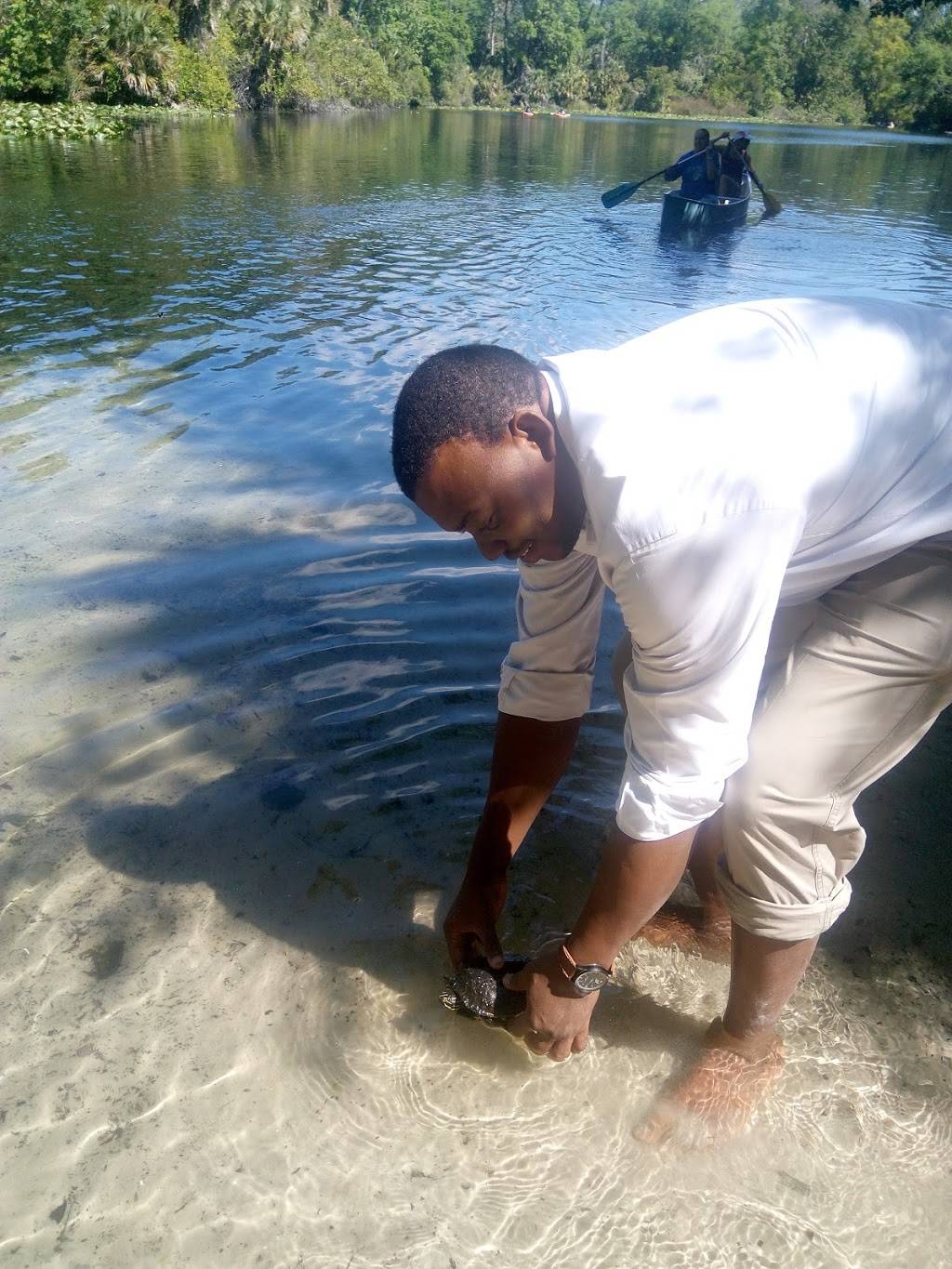 WildPedia | 44 Wyndmoor Pl, Gwynn Oak, MD 21207, USA | Phone: (443) 813-4181