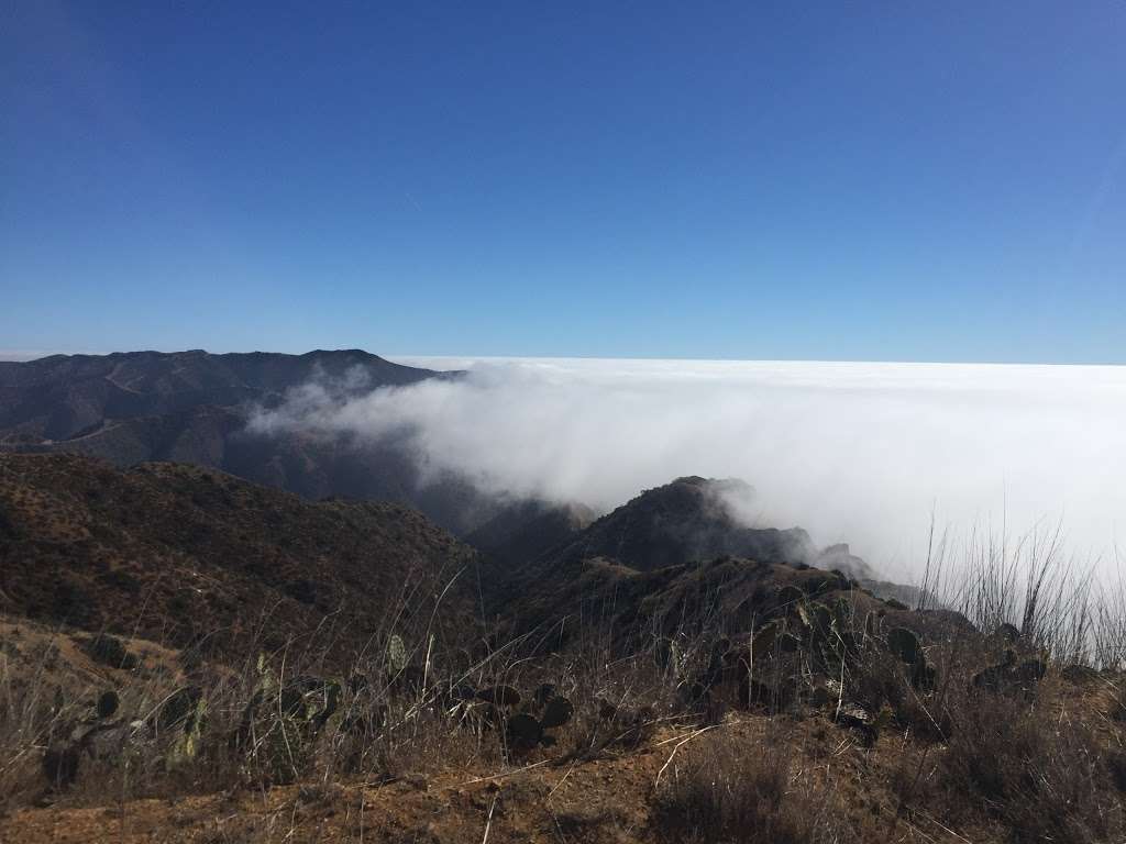 Lone Tree View Point | Lone Tree Road, Avalon, CA 90704, USA