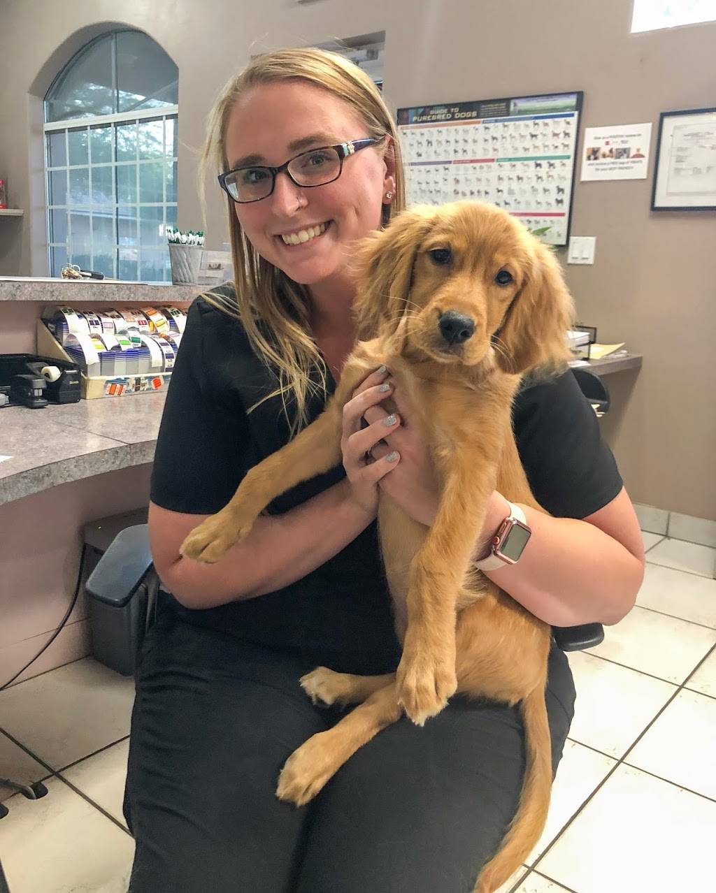 Queen Creek Veterinary Clinic | 20201 E Ocotillo Rd, Queen Creek, AZ 85142, USA | Phone: (480) 987-8000