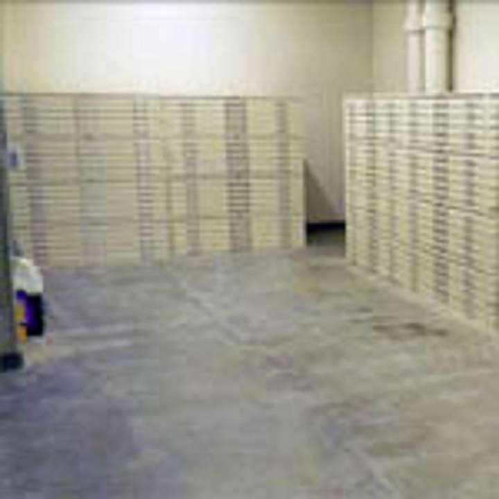 Shelf Image Inc. | 4200 Jackson St Suite 24, Denver, CO 80216, USA | Phone: (303) 928-1901