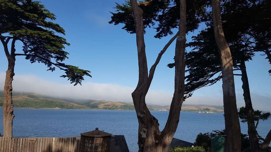 Inn On Tomales Bay | 22555 CA-1, Marshall, CA 94940 | Phone: (415) 663-9002