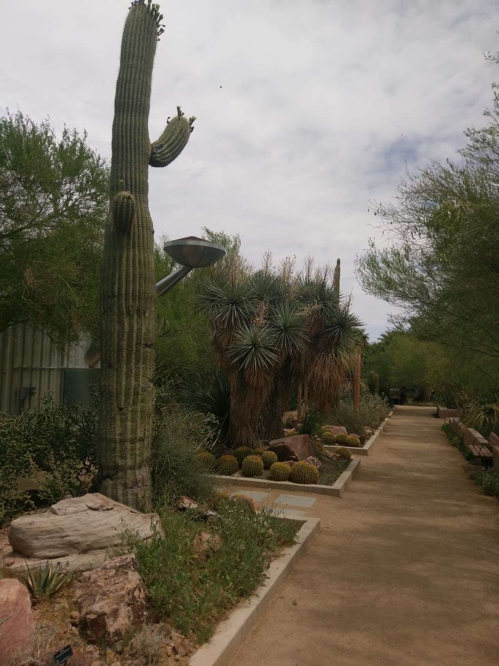 Gardens At Springs Preserve | 333 S Valley View Blvd, Las Vegas, NV 89107, USA | Phone: (702) 822-7754