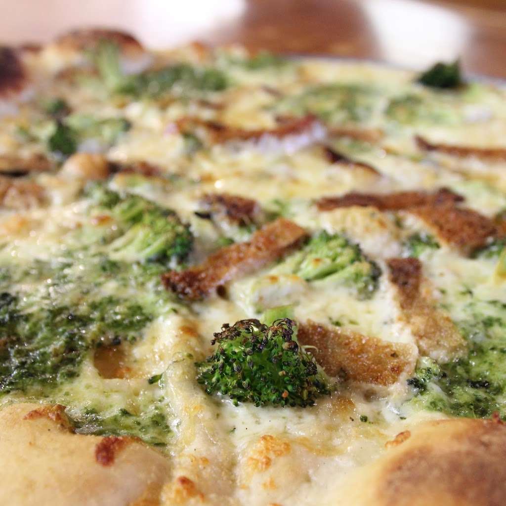 CRUST. | 24 Country Way, Scituate, MA 02066, USA | Phone: (781) 545-5861
