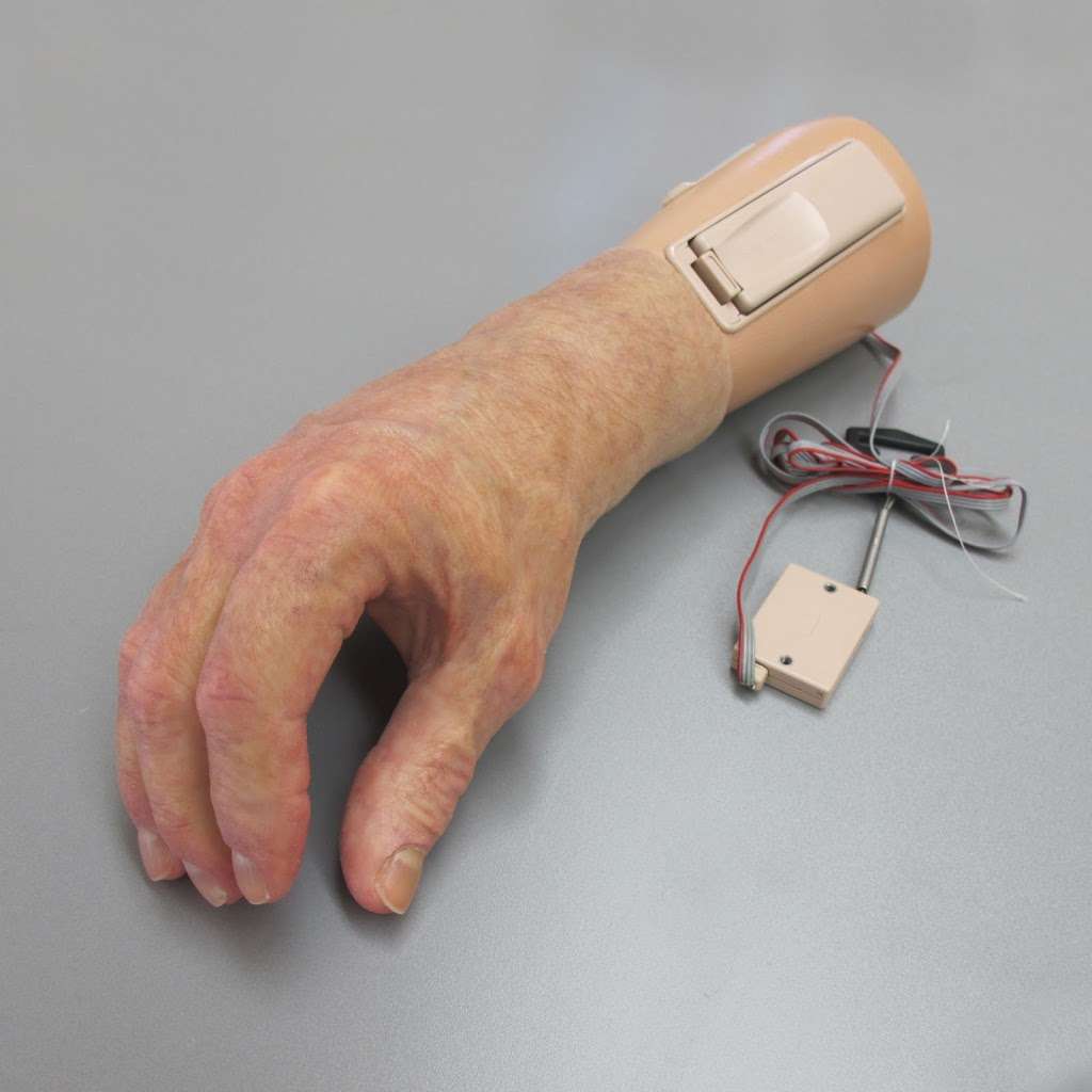 Aesthetic Prosthetics | 1095 Allen Ave, Pasadena, CA 91104, USA | Phone: (626) 345-0050