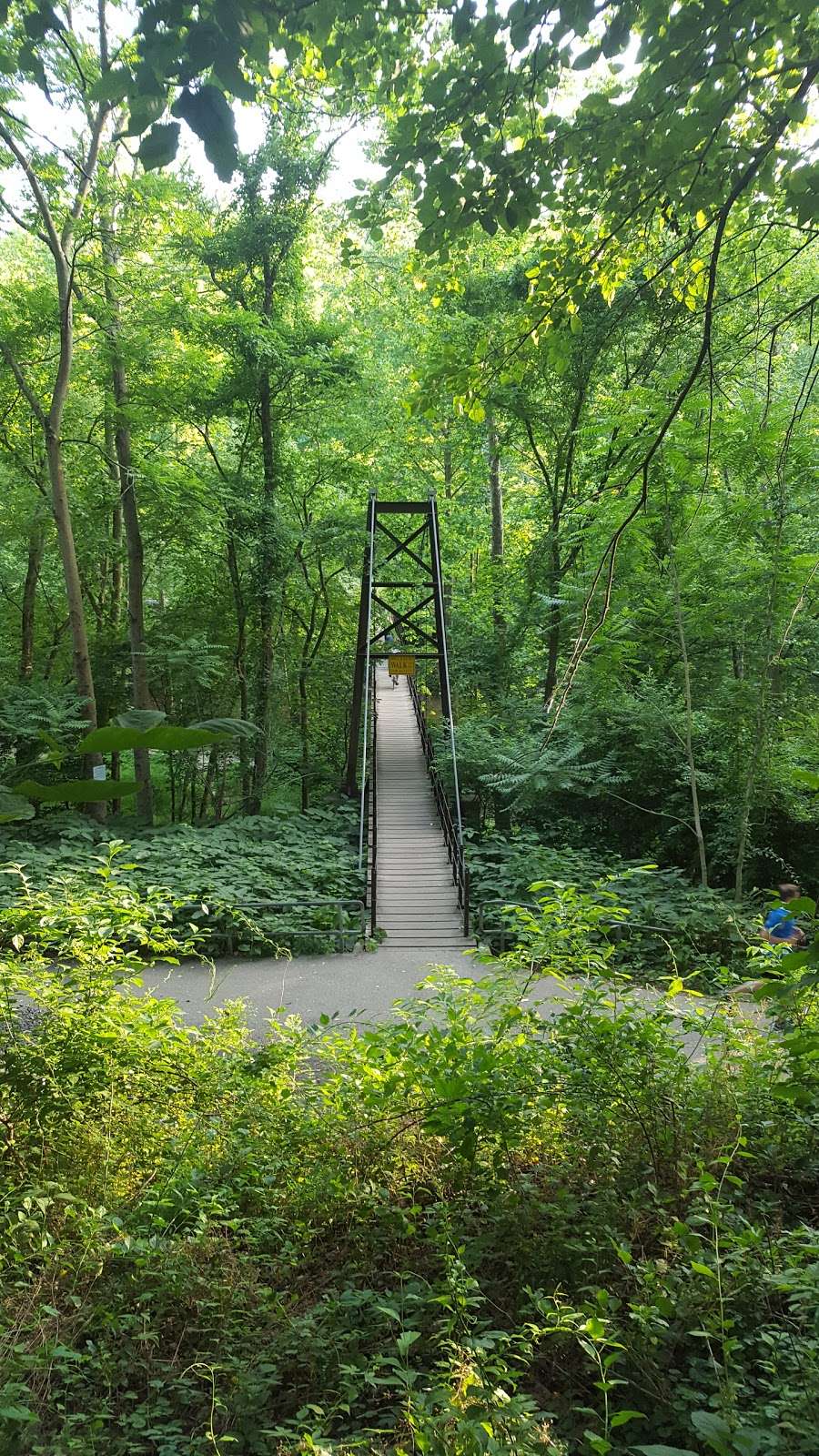 Swinging Bridge at Patapsco Valley State Park | River Rd, Elkridge, MD 21075 | Phone: (410) 461-5005