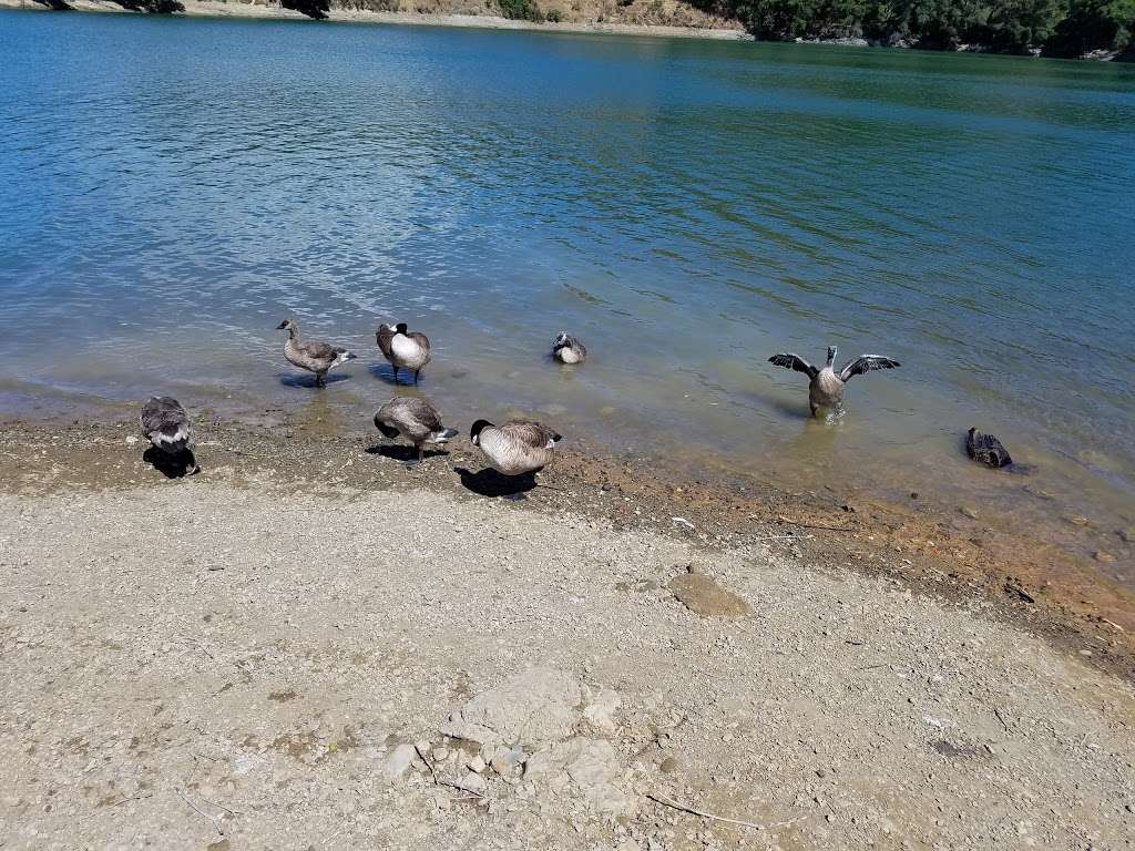 Stevens Creek County Park Lakeshore Picnic Area | 12699-, 13491 Stevens Canyon Rd, Cupertino, CA 95014