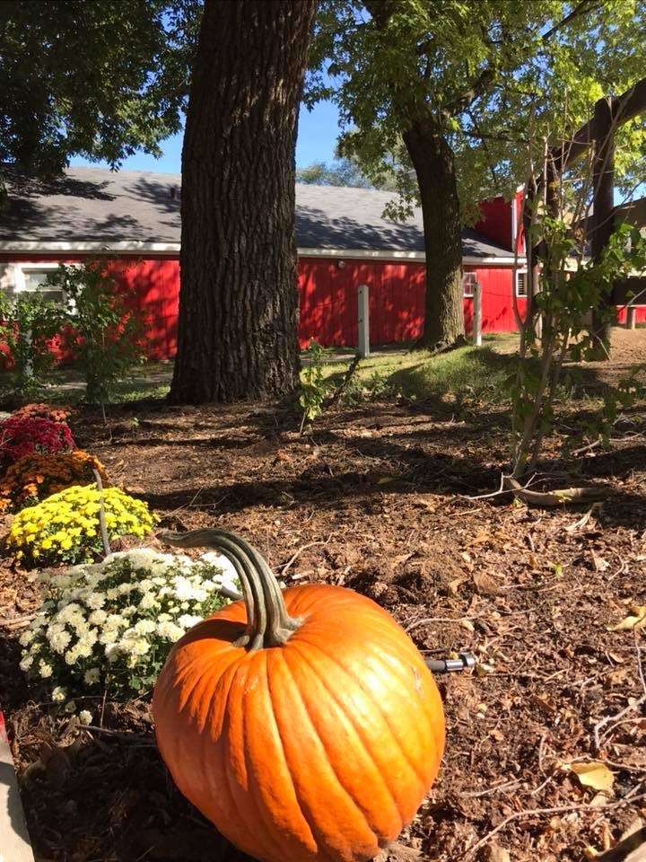 New Beginnings Therapeutic Riding Foundation NFP | 10101 S Kean Ave, Palos Hills, IL 60465, USA | Phone: (708) 598-7718